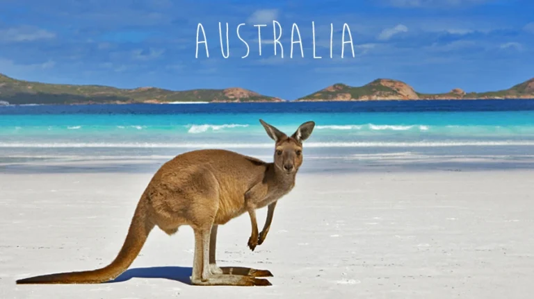 Investire in Australia: i migliori investimenti da valutare per chi ama l’economia dei “canguri”