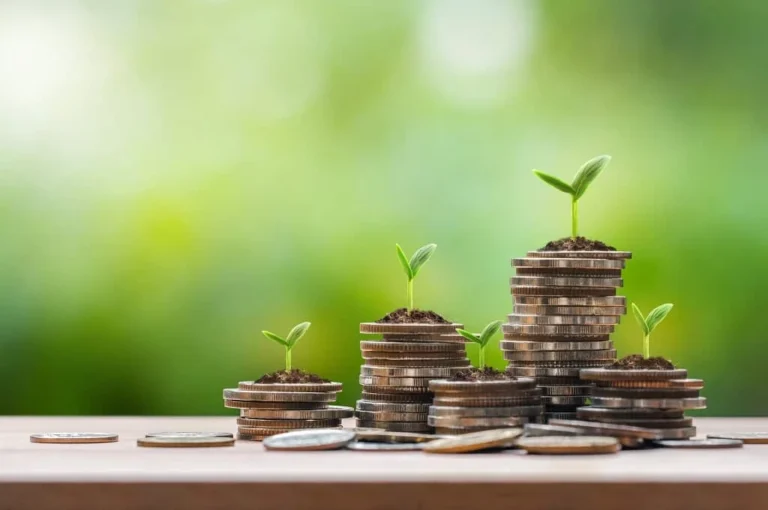 Finanza etica, sostenibile, solidale, verde: le differenze