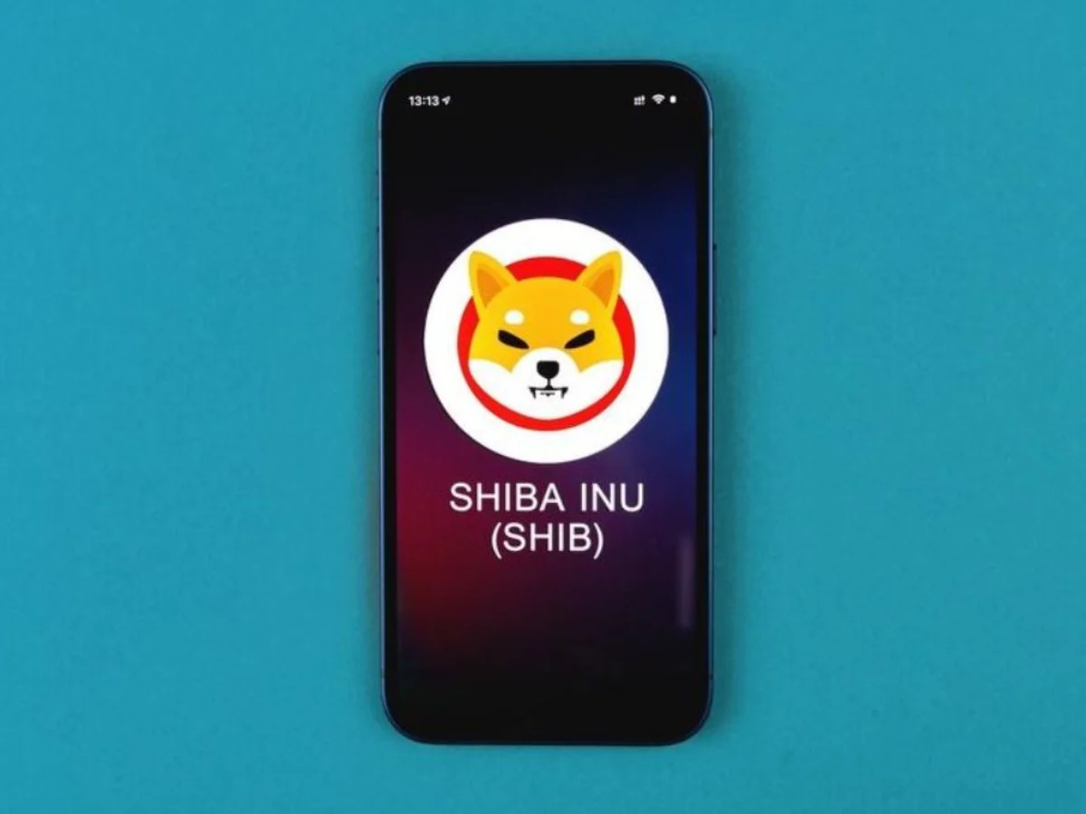 Shiba Inu Coin guida