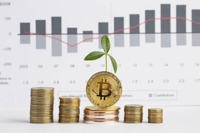 Come difendersi dall'inflazione con le criptomonete