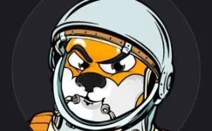 Shiba inu Coin