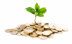 Quali sono le caratteristiche delle finanza etica