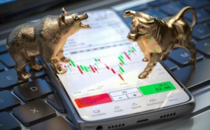 Bear Market vs Bull Market