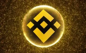 Binance Coin storico valore