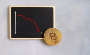 Bear Market Crypto