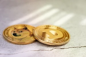 cos'è dogecoin