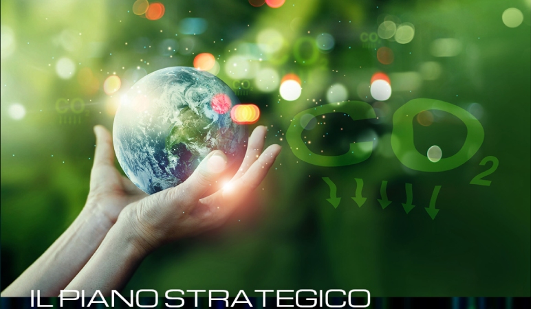 Settore di competenza