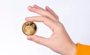 Shiba Inu prezzo