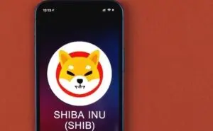 Shiba Inu Coin opinioni e recensioni