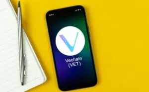 VeChain squadra di sviluppo