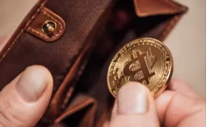 wallet criptovalute